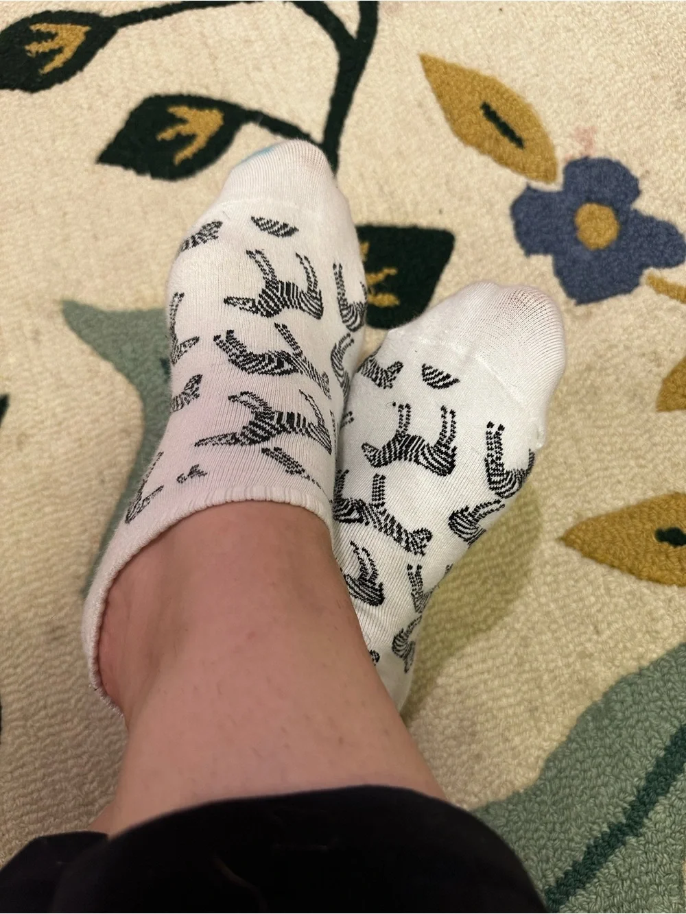 Zebra socks from Hot Sox